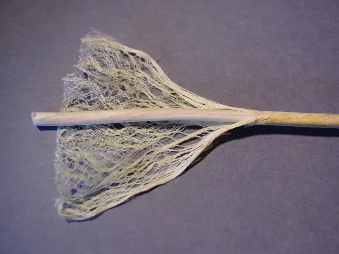 File:Hemp stem fibre.jpg