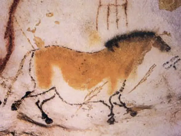 File:Lascaux2.jpg
