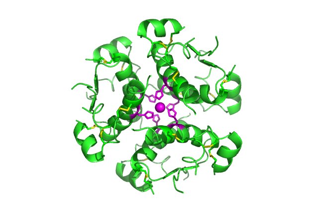 File:InsulinHexamer.jpg