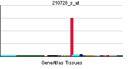 File:PBB GE CALCA 210728 s at tn.png