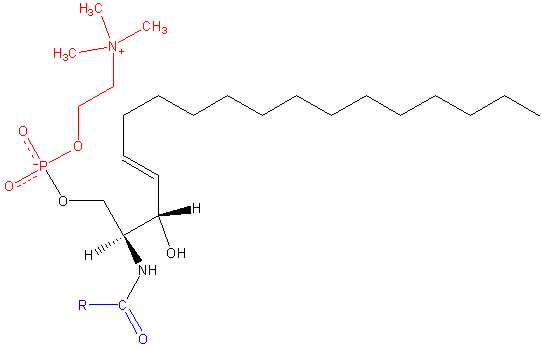 File:Sphingomyelin.png