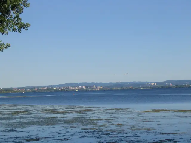 File:Onondagalakealge.jpg