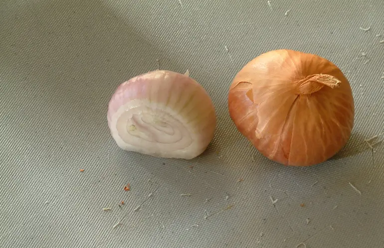 File:Shallots - sliced and whole.jpg