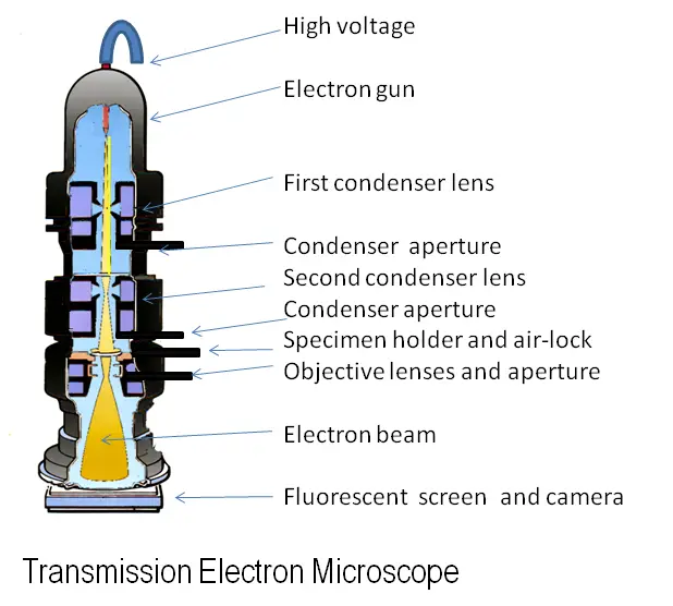 File:Electron Microscope.png