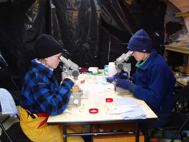 File:Antarctic researchers.jpg