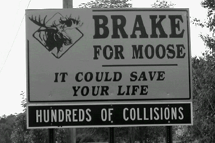 File:Break for moose sign.gif