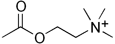 File:ACh.png