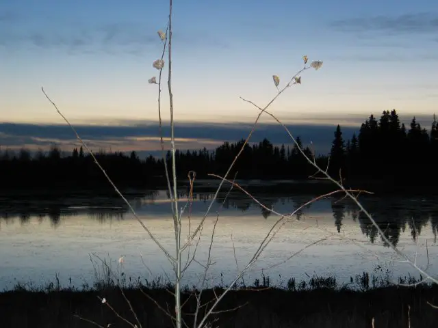 File:Elk Island.jpg