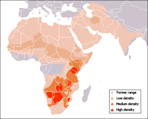 File:Cheetah range.gif