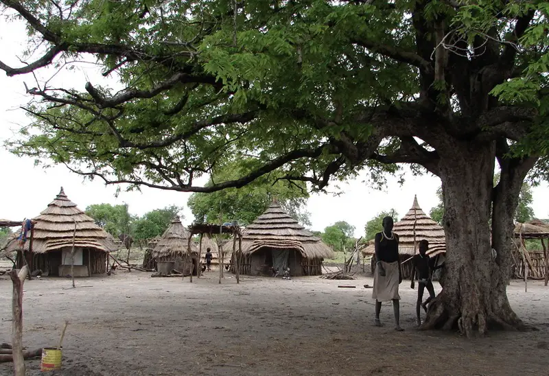 File:Nuer village central tree.jpg