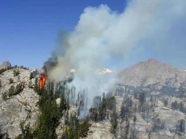 File:Forest fire in Shoshone National Forest 2001.jpg