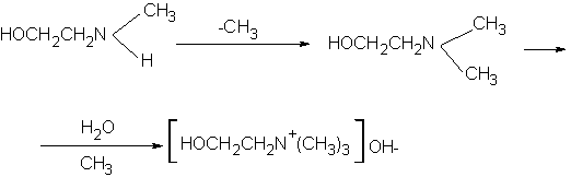File:Cholina.png