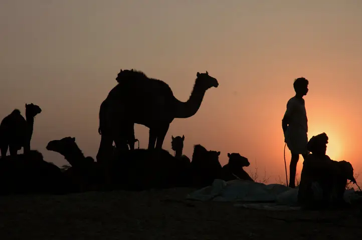 File:Sun Sets on Pushkar Fair.jpg
