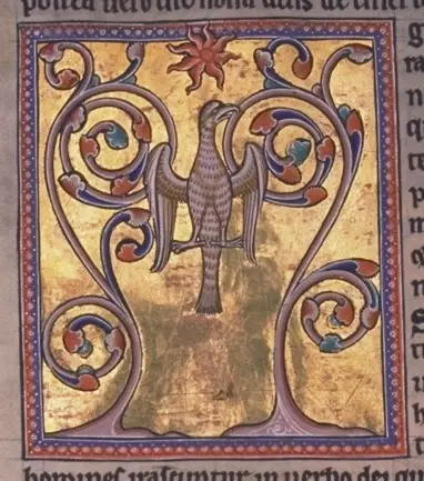 File:Phoenix rising from its ashes.jpg