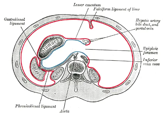 File:Gray1039.png