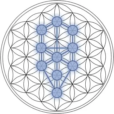 File:Tree-of-Life Flower-of-Life Stage.jpg