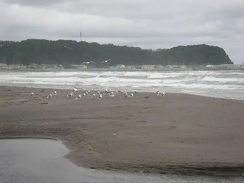 File:Okhotsk Shiretoko Peninsula.jpg