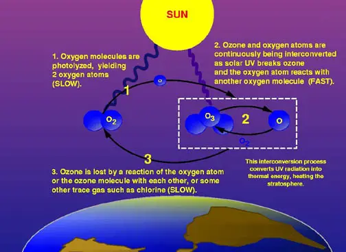 File:Ozone cycle.jpg