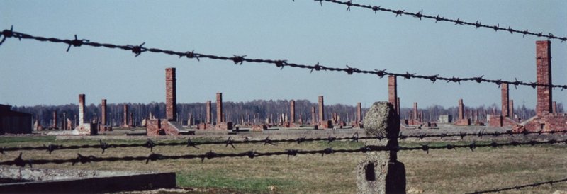 File:Auschwitzruins.jpg