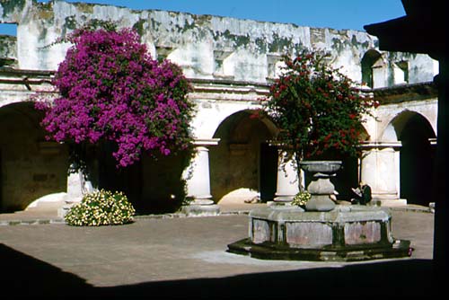 File:Capuchinas.jpg
