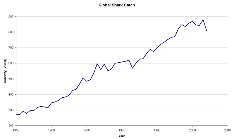 File:Global shark catch graph 1950 to 2004.png
