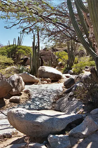 File:Inland Aruba 2004.jpg