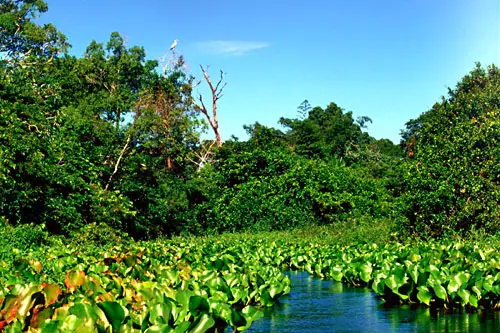 File:Salobra2.jpg