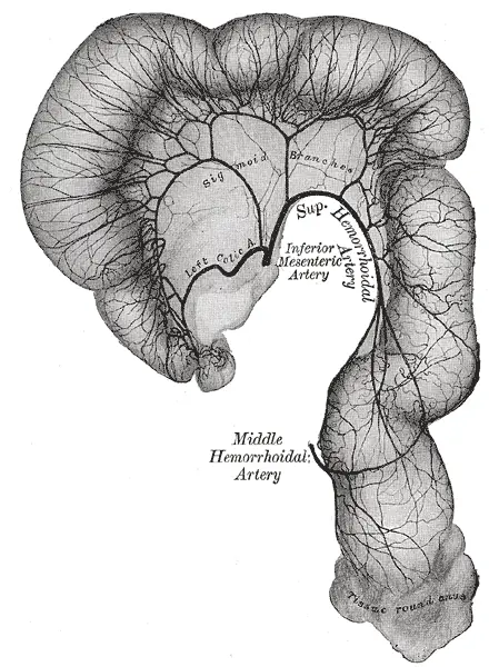 File:Gray538.png