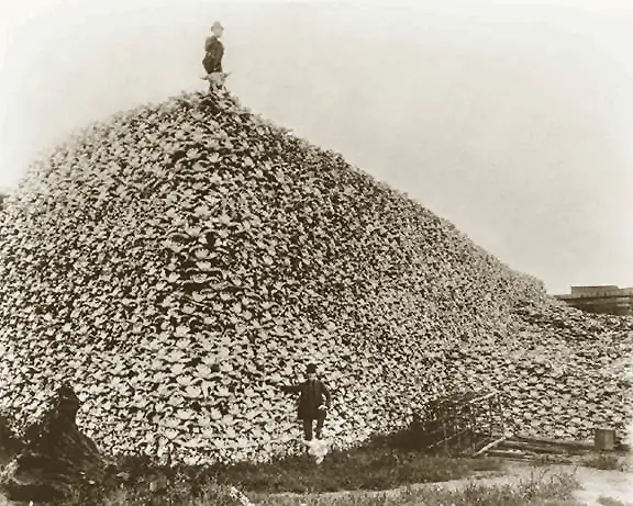 File:Bison skull pile, ca1870.png