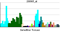 File:PBB GE CYCS 208905 at tn.png