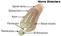 Thumbnail for version as of 18:29, 17 July 2007
