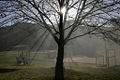 Thumbnail for version as of 20:51, 9 June 2006