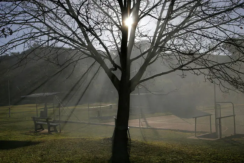 File:Light beams in smoke03.jpg