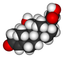 Cortisol-3D-vdW.png