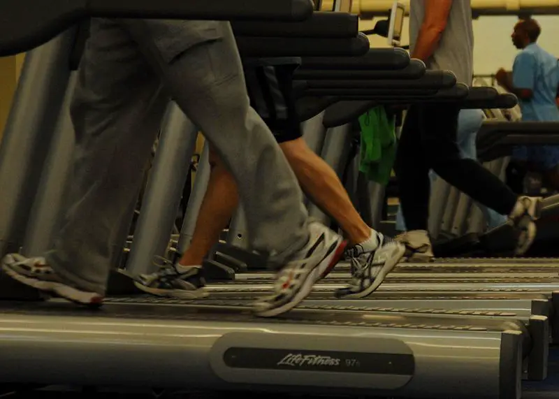 File:Treadmills at gym.jpg