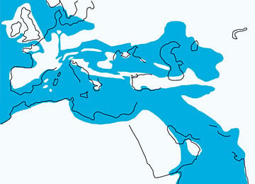 The North Sea between 34 million years ago and 28 million years ago, as Central Europe became dry land