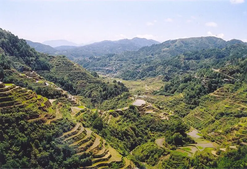 File:Rice Terraces Banaue.jpg