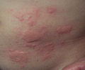 Thumbnail for version as of 14:46, 27 January 2007