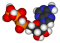 Thumbnail for version as of 00:15, 17 August 2006