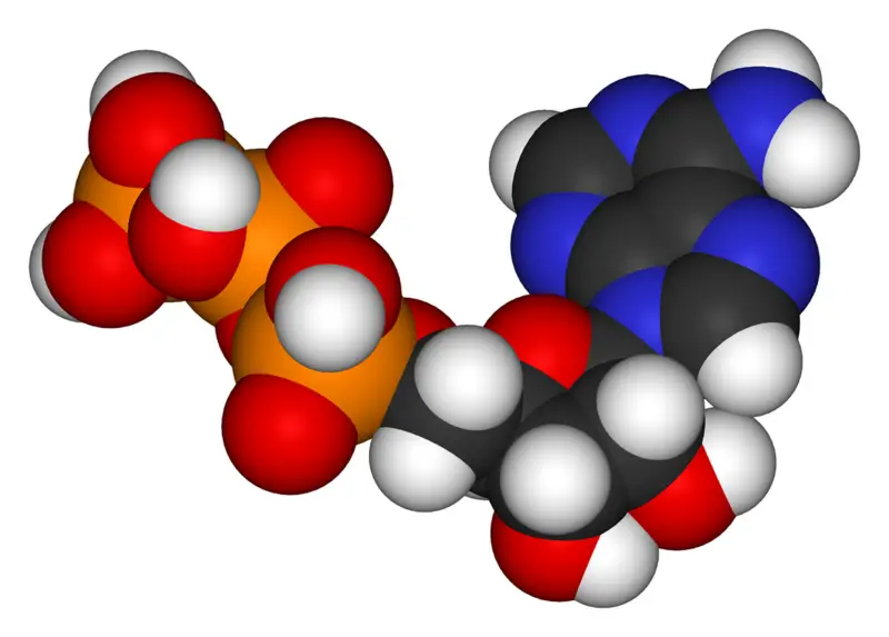 File:ATP-3D-vdW.png