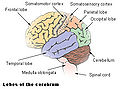 Thumbnail for version as of 11:29, 2 August 2007