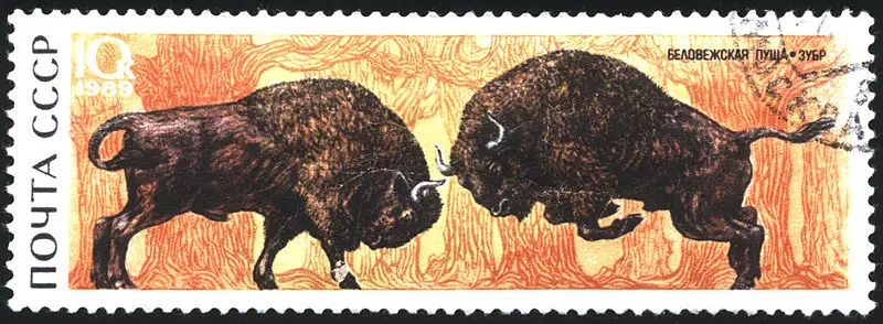 File:Soviet Union-1969-stamp-Wisent-10K.jpg