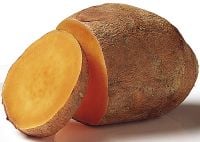 caption = A sweet potato.