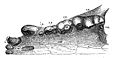 Thumbnail for version as of 13:21, 8 August 2007