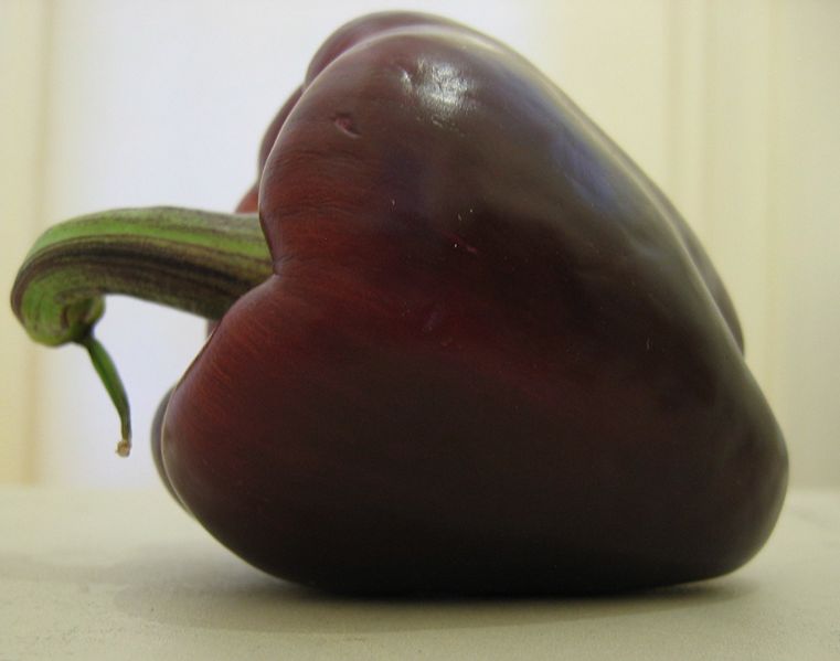 File:Purple bellpepper.jpg