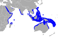 Natural range of D. dugon.
