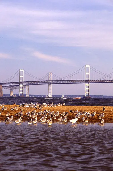 File:Chesapeake Bay Bridge.jpg