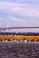 Thumbnail for version as of 04:38, 7 November 2007