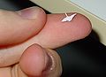 Thumbnail for version as of 17:04, 26 September 2006