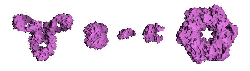 File:Protein Composite.jpg
